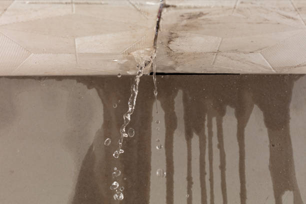 Professional Water Damage Inspection technician working in New Hampton, IA